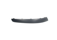 Trim/Protective Strip, bumper