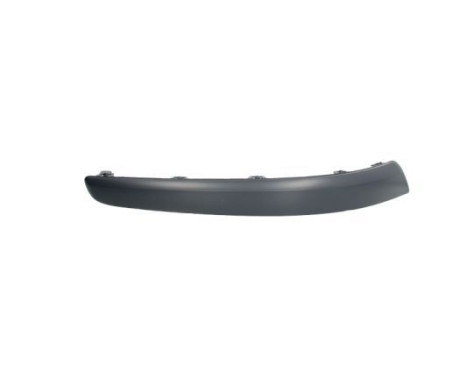 Trim/Protective Strip, bumper