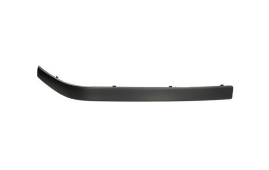 Trim/Protective Strip, bumper