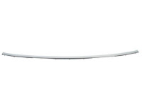 Trim/Protective Strip, bumper