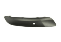 Trim/Protective Strip, bumper