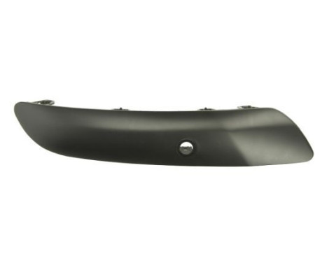 Trim/Protective Strip, bumper