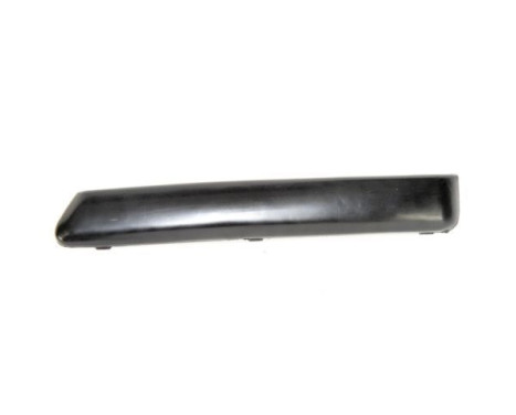 Trim/Protective Strip, bumper