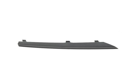 Trim/Protective Strip, bumper
