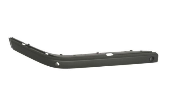 Trim/Protective Strip, bumper