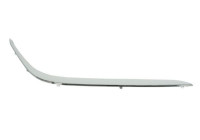 Trim/Protective Strip, bumper