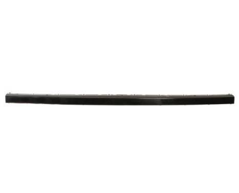 Trim/Protective Strip, bumper