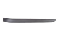 Trim/Protective Strip, bumper