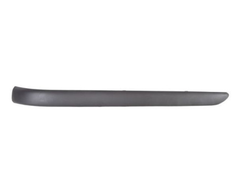Trim/Protective Strip, bumper