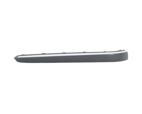 Trim/Protective Strip, bumper