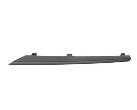 Trim/Protective Strip, bumper