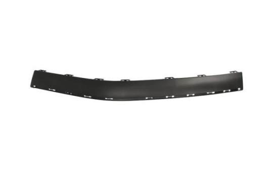 Trim/Protective Strip, bumper