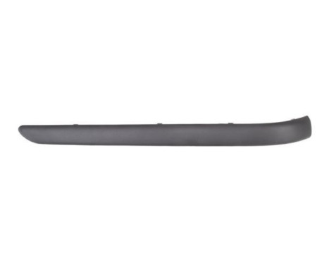 Trim/Protective Strip, bumper