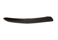 Trim/Protective Strip, bumper