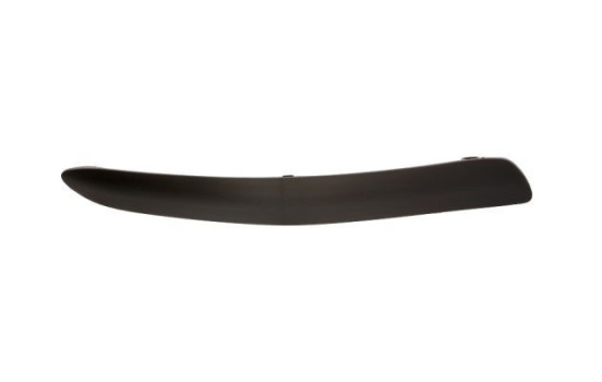 Trim/Protective Strip, bumper