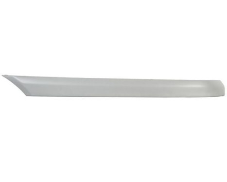Trim/Protective Strip, bumper