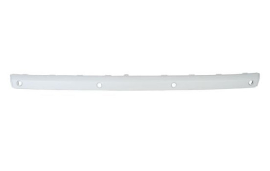 Trim/Protective Strip, bumper