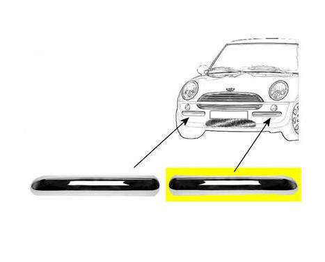 Trim/Protective Strip, bumper