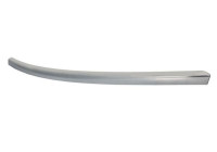 Trim/Protective Strip, bumper