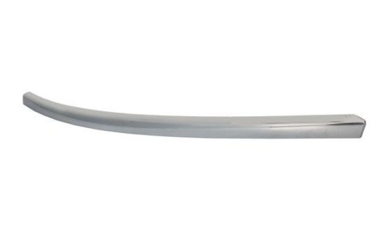 Trim/Protective Strip, bumper