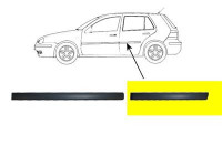 Trim/Protective Strip, door