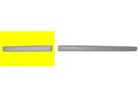 Trim/Protective Strip, door