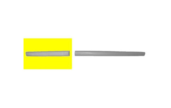 Trim/Protective Strip, door