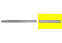 Trim/Protective Strip, door