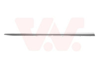 Trim/Protective Strip, door