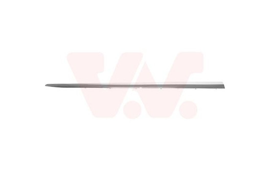 Trim/Protective Strip, door