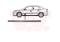 Trim/Protective Strip, door