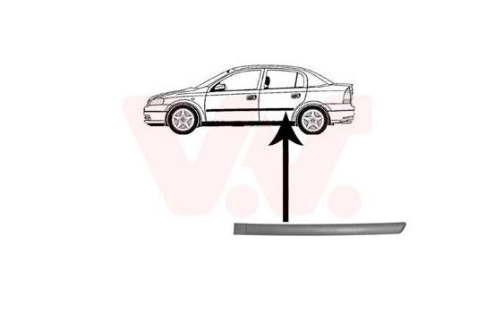 Trim/Protective Strip, door