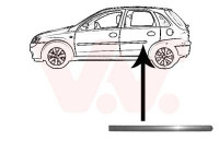 Trim/Protective Strip, door