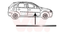 Trim/Protective Strip, door