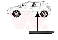 Trim/Protective Strip, door