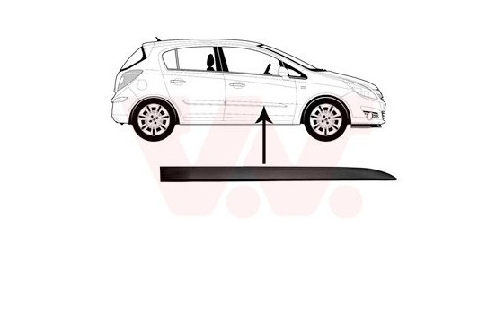 Trim/Protective Strip, door