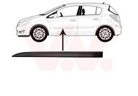 Trim/Protective Strip, door