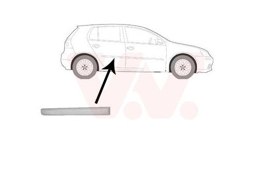 Trim/Protective Strip, door