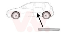 Trim/Protective Strip, door