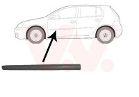 Trim/Protective Strip, door