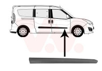 Trim/Protective Strip, door