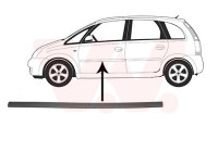 Trim/Protective Strip, door