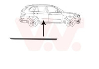 Trim/Protective Strip, door