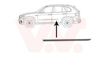 Trim/Protective Strip, door