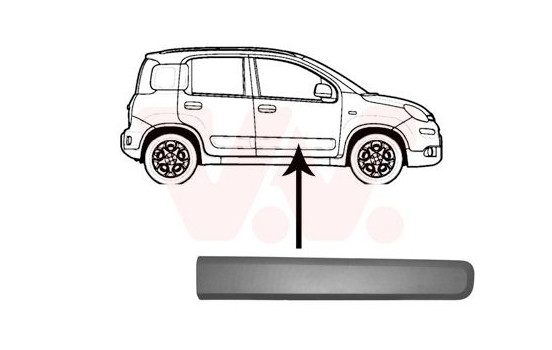 Trim/Protective Strip, door