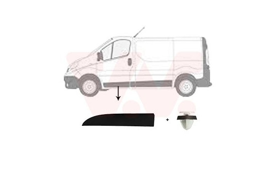 Trim/Protective Strip, door