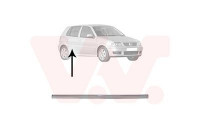 Trim/Protective Strip, door