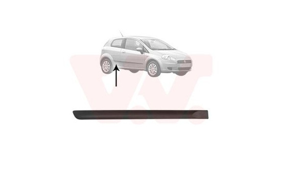 Trim/Protective Strip, door