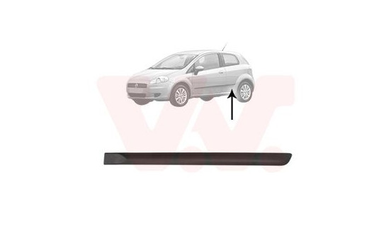 Trim/Protective Strip, door