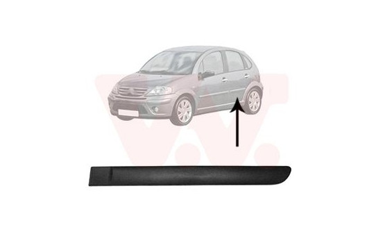 Trim/Protective Strip, door